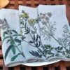 Oldenhof Herbs Servet 45 X 45 Cm Linnen 6 Stuks -Keukengerei Winkel linen napkins spice herbs floral linoroom 6