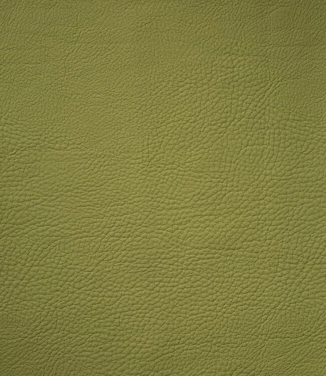 Finesse Monaco XL Placemat 35 X 48 Cm Kunstleer Cress Green 4 Finesse Monaco XL Placemat 35 X 48 Cm Kunstleer Cress Green - Image 2