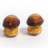 Oldenhof Peper- En Zoutstel Paddenstoelen Bruin